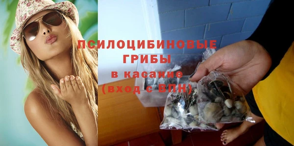 мяу мяу мука Баксан